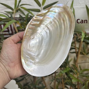 Assiette <span class=keywords><strong>de</strong></span> service en nacre naturelle écologique polie, vaisselle pour hôtel et restaurant - Product Image 3