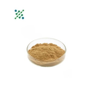 工場価格 純オリーブ葉エキス オレウロペイン 20% 50% オレウロペイン オリーブ葉エキス - Product Image 3
