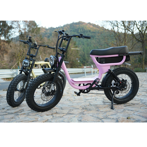<span class=keywords><strong>Bicicleta</strong></span> Eléctrica de Suspensión Completa, Neumáticos Gruesos de 20 Pulgadas, Suspensión Ajustable, <span class=keywords><strong>Bicicleta</strong></span> Eléctrica de Montaña, <span class=keywords><strong>Bicicleta</strong></span> Eléctrica Híbrida Bafang - Product Image 6
