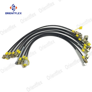 Tuyau de <span class=keywords><strong>test</strong></span> haute pression Dn3 utilisé dans les systèmes hydrauliques pour tester la pression et conduire le milieu fluide - Product Image 3