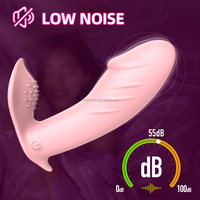 USB-Aufladbarer Ferngesteuerter Silikon-Vibrator IPX5 Wasserdicht Tragbar 10 Vibrationsmodi Klitoris- und G-Punkt-Stimulation für Frauen