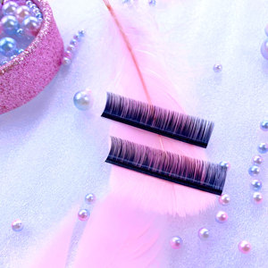 False Lashes Classic Soft Eye Lash Dingsen Brand Your Own Privet Label Professional Eyelash Extension Kit - Product Image 4