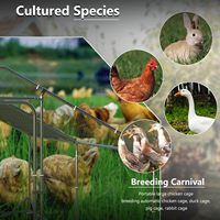 Enclos à poulets en métal robuste en forme de spirale, cage extérieure pour volailles, design imperméable et accessible pour poulets, lapins, chiens