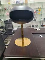 Cheminée à éthanol en acier design autoportante avec flamme réelle pour la décoration intérieure et le chauffage intérieur/extérieur