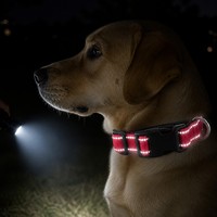 Collier pour chien en néoprène rembourré, robuste, tactique, 2 pouces de large, réglable, réfléchissant, personnalisé, simple, solide, doux et confortable