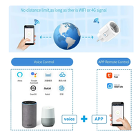 Prise intelligente WiFi EU 16A/20A avec fonction de synchronisation du moniteur d'alimentation Tuya Smart Life APP Control fonctionne avec Alexa Google Home