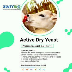 <span class=keywords><strong>Levure</strong></span> sèche <span class=keywords><strong>inactive</strong></span>, poudre <span class=keywords><strong>de</strong></span> <span class=keywords><strong>levure</strong></span> <span class=keywords><strong>de</strong></span> <span class=keywords><strong>bière</strong></span>, additif animal pour l'alimentation des porcs et des bovins - Product Image 2