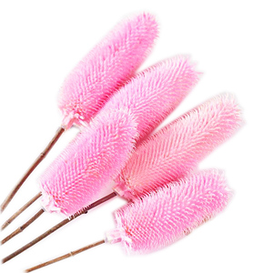 Nouvelle Arrivée Flora d'Été Fleurs Séchées Naturelles Blanches Dipsacus Sativus Fournisseurs de Fleurs pour <span class=keywords><strong>la</strong></span> Décoration Intérieure - Product Image 2