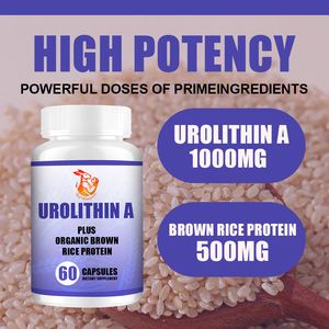 Cápsulas de Urolithin A Directas de Fábrica, Apoyan la Vitalidad Juvenil y la Salud Mitocónica, Fórmula Limpia, Píldoras de Apoyo a la Vitalidad - Product Image 3