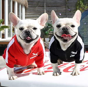 Nome do designer Marca Zipper Tides Pet Roupas para Bichon French Bulldog Dog Suplemento Sweater Letter Printing Luxury <span class=keywords><strong>Clothing</strong></span> - Product Image 4