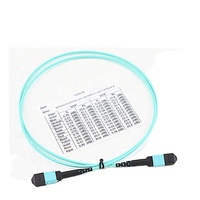 10G 100G MM OM3 OM4 OM5 MTP 48 Fibres 48 Core MPO Connecteur Trunk Cable Fiber Optic Patch Cord