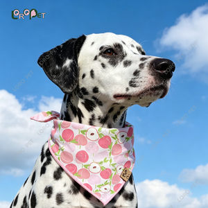 <span class=keywords><strong>Bandana</strong></span> <span class=keywords><strong>pour</strong></span> <span class=keywords><strong>chien</strong></span> de haute qualité, <span class=keywords><strong>fait</strong></span> <span class=keywords><strong>main</strong></span>, en coton, écologique, durable et réglable - Product Image 4
