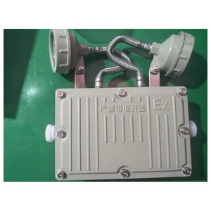 Controlador LED de Luz de Emergencia a Prueba de Explosiones 220v con Batería de Respaldo para Uso Industrial - Product Image 5