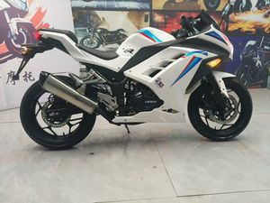 Jueshijie BMW1, Motocicleta Deportiva Usada, 250cc, Inyección Electrónica, Seis Velocidades, Norma Nacional IV, Estilo Little Ninja, Gasolina, Todoterreno, Velocidad Máxima - Product Image 6