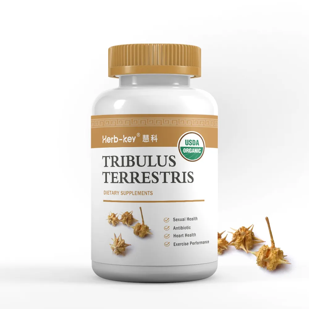 プライベートラベルOEM ODM tribulus terrestrisカプセル純粋な植物エキスカプセル500mg