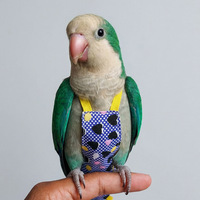 Offres spéciales : Couche respirante et lavable pour oiseaux de compagnie, adorable pour perroquets et pigeons, combinaison de vol pour oiseaux