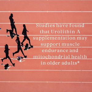 Urolithin a Capsules yang ditingkatkan kekuatan 1000mg vitalitas kesehatan seluler canggih NAD + Boost, perbaikan sel antioksidan - Product Image 5