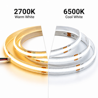 Bande LED flexible 24V double blanc CCT réglable 608 LED/m 10mm pour éclairage décoratif commercial et résidentiel