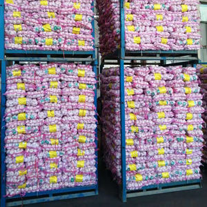 Fresco Branco Roxo Alho Cebolas Atacadista na <span class=keywords><strong>China</strong></span>/Alta Qualidade 2025 Nova Colheita <span class=keywords><strong>China</strong></span> Alho - Product Image 4