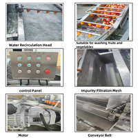 Volledig automatische fruit- en groentewasmachine met continu transportband voor sla, aardappelen en andere groenten