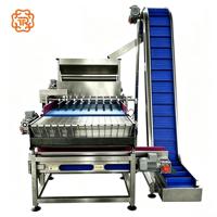 TUORONG Nouvelle Machine Multifonctionnelle Entièrement Automatique pour l'Application de Noix et de Confettis au Chocolat