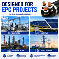 Cable de Distribución de Energía Armado con XLPE de 11kV para Aplicaciones Industriales