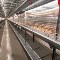 Système automatique de cage de batterie pour volaille poulet ferme poulets de chair nouvelle condition pour l'élevage de viande caille poulet