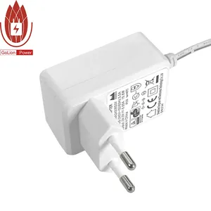 Adaptor Ac Dc 24V 0,5a Kualitas Tinggi Langsung dari Pabrik dengan FCC ETL CE GS PSE ERP PAHS DOE Sertifikat