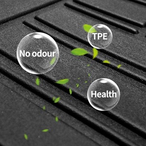 Pour Geely Geometry E Firefly 2022-2024, tapis de protection de siège arrière en TPE sur mesure - Product Image 4