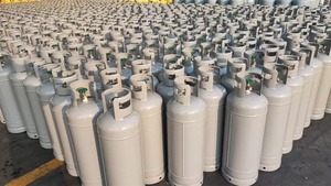 Bonbonne de gaz <span class=keywords><strong>propane</strong></span> GPL basse pression de marque DL en acier, 1 <span class=keywords><strong>kg</strong></span>, 3 <span class=keywords><strong>kg</strong></span>, <span class=keywords><strong>5</strong></span> <span class=keywords><strong>kg</strong></span>, 9 <span class=keywords><strong>kg</strong></span>, à bas prix - Product Image 6