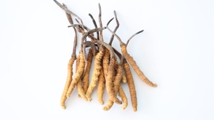 500G Tây Tạng Toàn Bộ Thực Vật Hạ Thảo Tự Nhiên Tiens 100% Thảo Dược Hạ Thảo Sinensis - Product Image 3