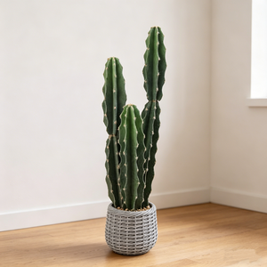 Planta de Cactus Columnar Artificial Realista, Cactus San <span class=keywords><strong>Pedro</strong></span> en Maceta, Cactus Grande y Alto para Decoración de Interiores de Hogar, Oficina y Sala de Estar - Product Image 6