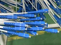 Jumper Break Patch Cord Pigtails 4 8 12 24 Cores Bundle Branch Fiber Tail Cable Network Communication Fiber Patch Cord