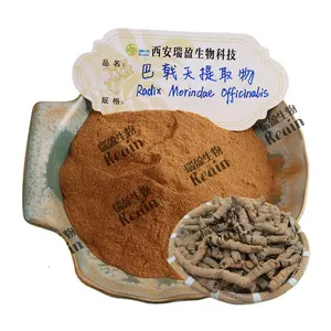 Hot Sale Herbal Plant Morinda Root Extract Powder Bacopin Extract