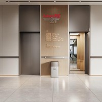 Ascenseur de passagers haut de gamme en acier inoxydable 304, traction sans engrenages, cabine finition miroir, design classique moderne, ScheinLift