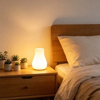 Lampe de table LED rechargeable à intensité variable, directement de l'usine, pour la maison, la chambre, l'hôtel, la salle à manger, décoration