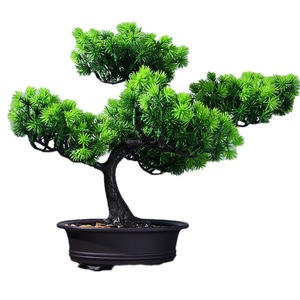 Bonsai di Pino Realistico per Ingresso Soggiorno, Decorazione Mobile TV, Pianta in Vaso Simulata - Product Image 1