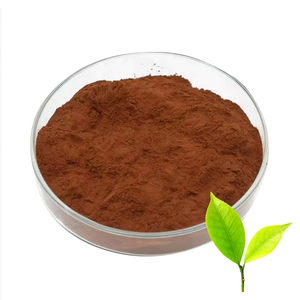 Bán buôn hữu cơ màu xanh lá cây chiết xuất trà polyphenol 98% 98% epigallocatechin gallate EGCG - Product Image 1