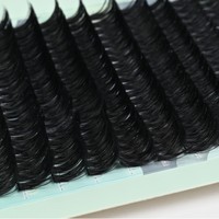 Faux cils segmentés thermofusibles 110Dd, 14 rangées, grande capacité, style européen et américain, courbés et épais, pour l'exportation