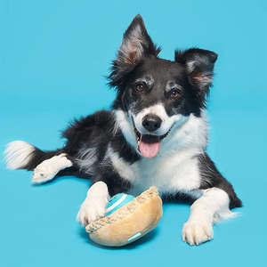 Juguete de Peluche con Sonido en Forma de Pastel para Perros Pequeños, Medianos y Grandes, Material de Algodón, Empacado en Bolsa, para Entrenamiento Interactivo Personalizado - Product Image 6