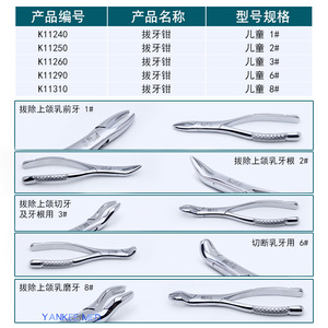 คีมถอนฟันเซี่ยงไฮ้ จินจง สำหรับผู้ใหญ่และเด็ก คีมถอนฟันบนและล่าง เครื่องมือผ่าตัดทางทันตกรรม สำหรับคลินิกทันตกรรม - Product Image 3