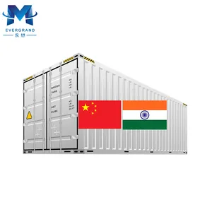 10 Years Cargo Consolidation Container Shipping China to Chennai Mumbai New Delhi India Door to Door Agent