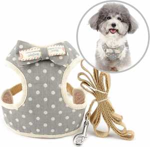 Ensemble Harnais, Laisse et Collier pour Animaux de Compagnie en Maille à Motif de Points Personnalisé, Décor Nœud Papillon, pour la Promenade, Adorable, Prêt à l'emploi, Commande d'échantillon - Product Image 1