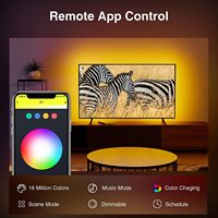 Décoration de la maison 3.8M 5M USB Led rétro-éclairage TV lumières ICRGB avec musique WIFI TUYA maison intelligente APP contrôle IP44 Led bandes lumineuses