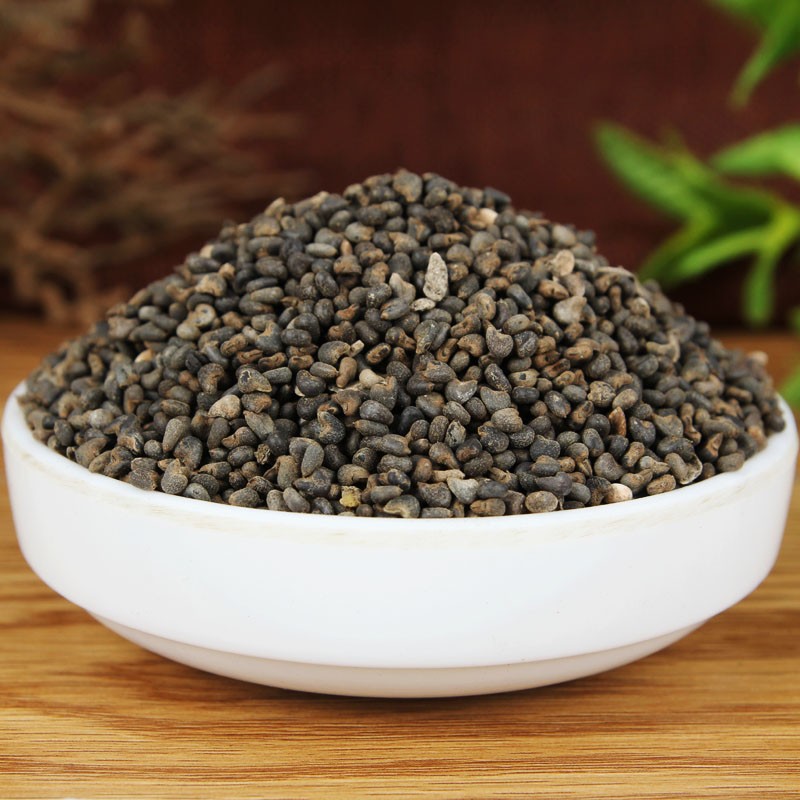 elephant crass seeds bulk