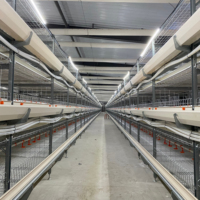 Fermes avicoles cage automatique pour poulets de chair d'élevage en batterie de type h