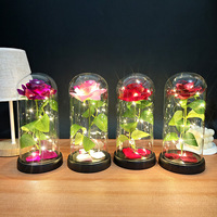 Rose LED dans un dôme en acrylique, fleur artificielle avec guirlande lumineuse colorée, fonctionne à piles, lampe d'ambiance romantique pour elle