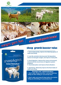 Supplément <span class=keywords><strong>de</strong></span> croissance rapide <span class=keywords><strong>de</strong></span> 2.5kg Multivitamine 4% prémélange d'engraissement pour le bétail - Product Image 2