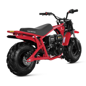 Tao Motor 2023 New Design Kids Petrol Mini Dirt <b>Bike</b> 200cc Mini <b>Bike</b> - Product Image 6