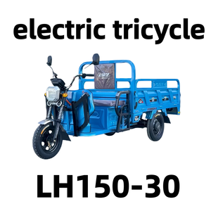 Venta Directa <span class=keywords><strong>de</strong></span> Fábrica, Triciclo Eléctrico <span class=keywords><strong>de</strong></span> Carga <span class=keywords><strong>de</strong></span> Alta Potencia, Duradero, Ahorra Energía, Ahorra Tiempo, Conveniente y Flexible - Product Image 1